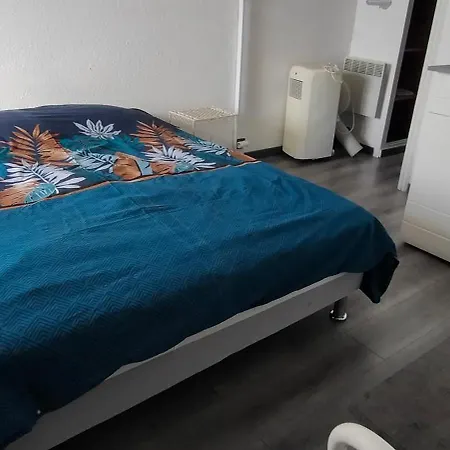 Appartement Cap D'agde La Grande Voile Agde